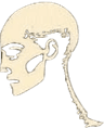 Humanizer AI logo