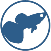 InterviewGuppy - Interview prep tool logo