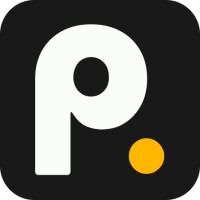 Paid Ai logo