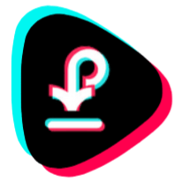 TikSave.AI logo