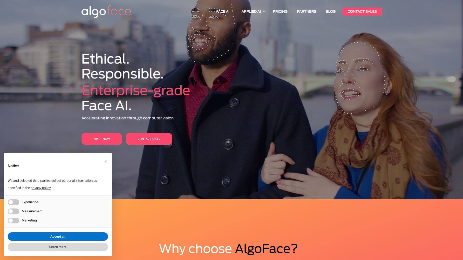 Algoface screenshot