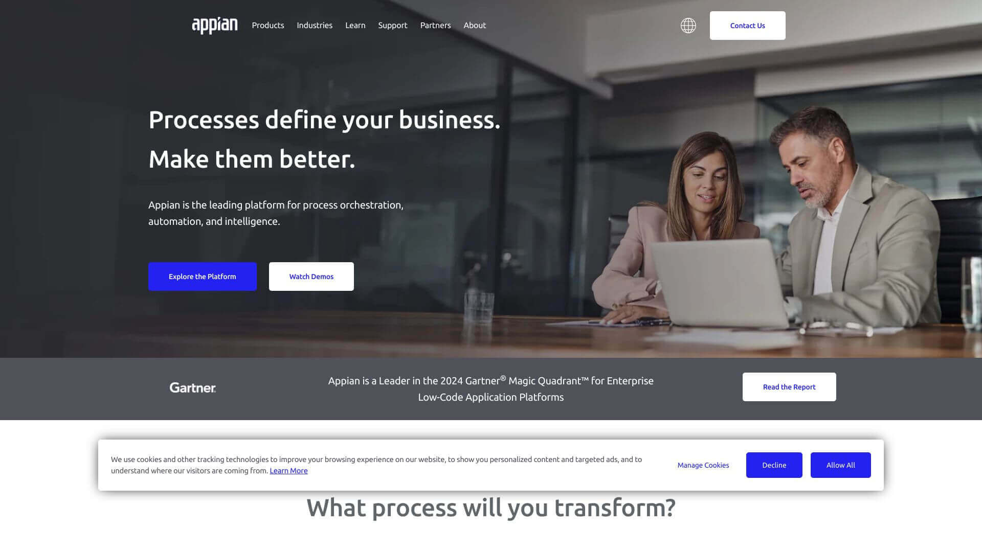 Appian screenshot