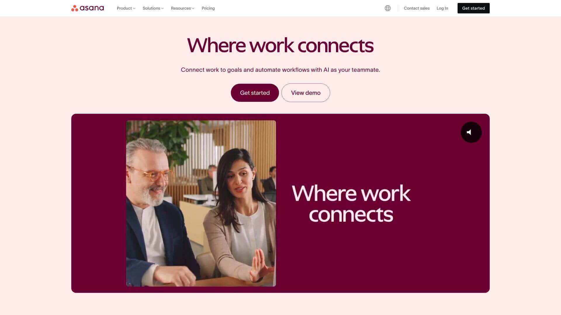 Asana Intelligence screenshot