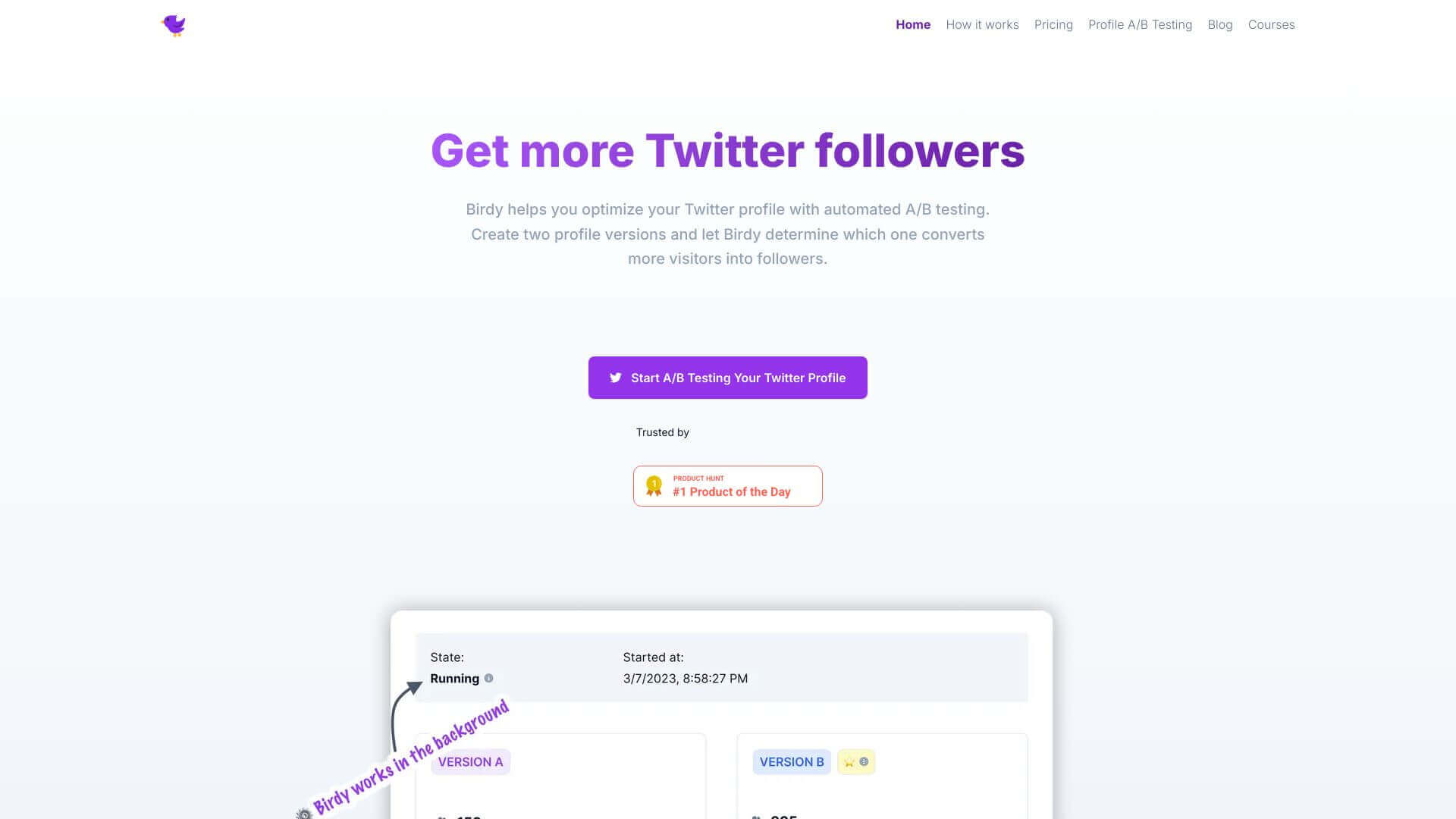 Birdy screenshot