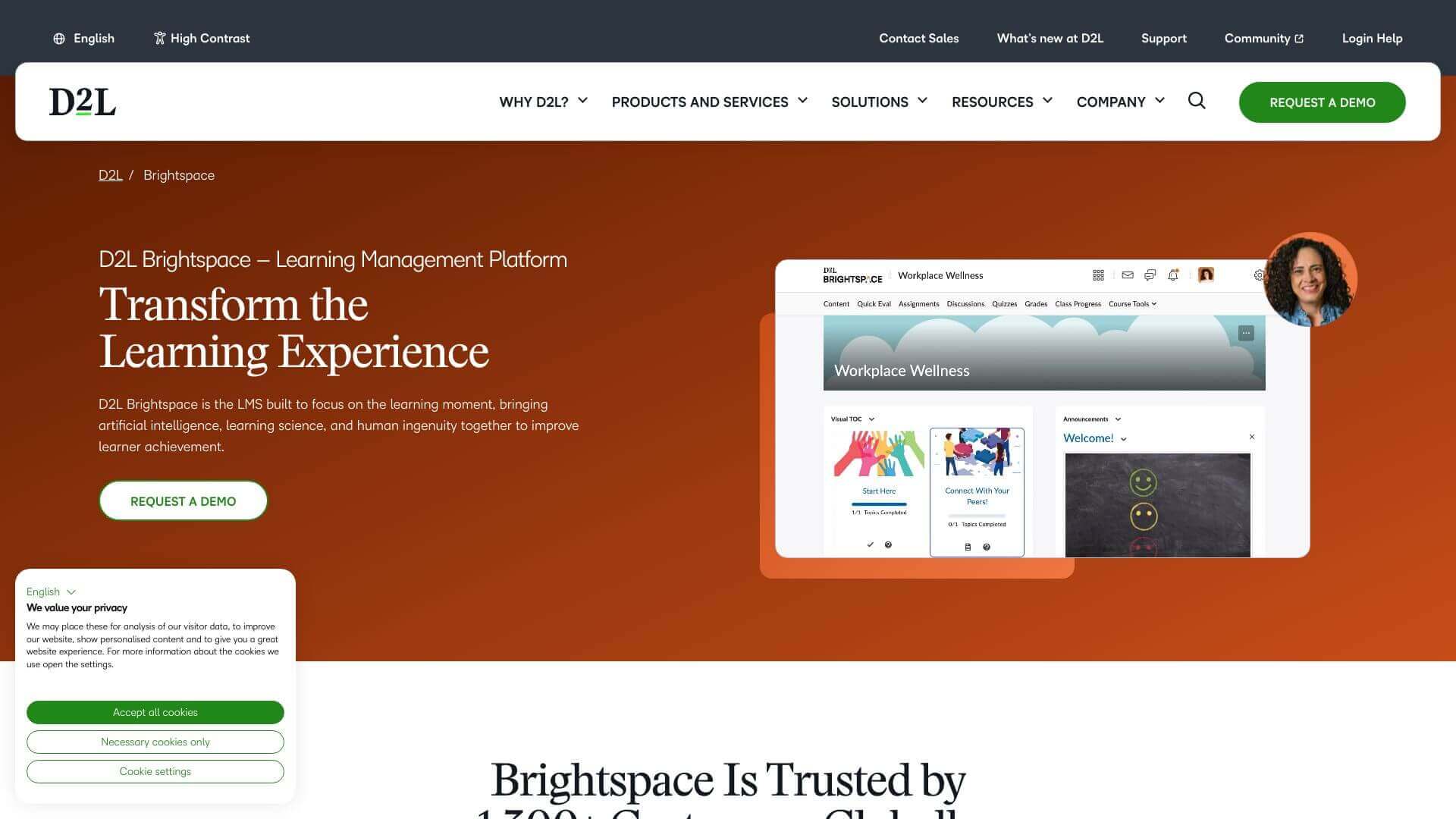 D2L BrightSpace screenshot