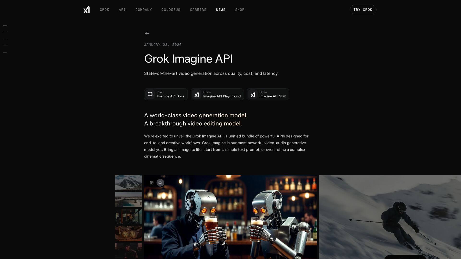 Grok Imagine API screenshot