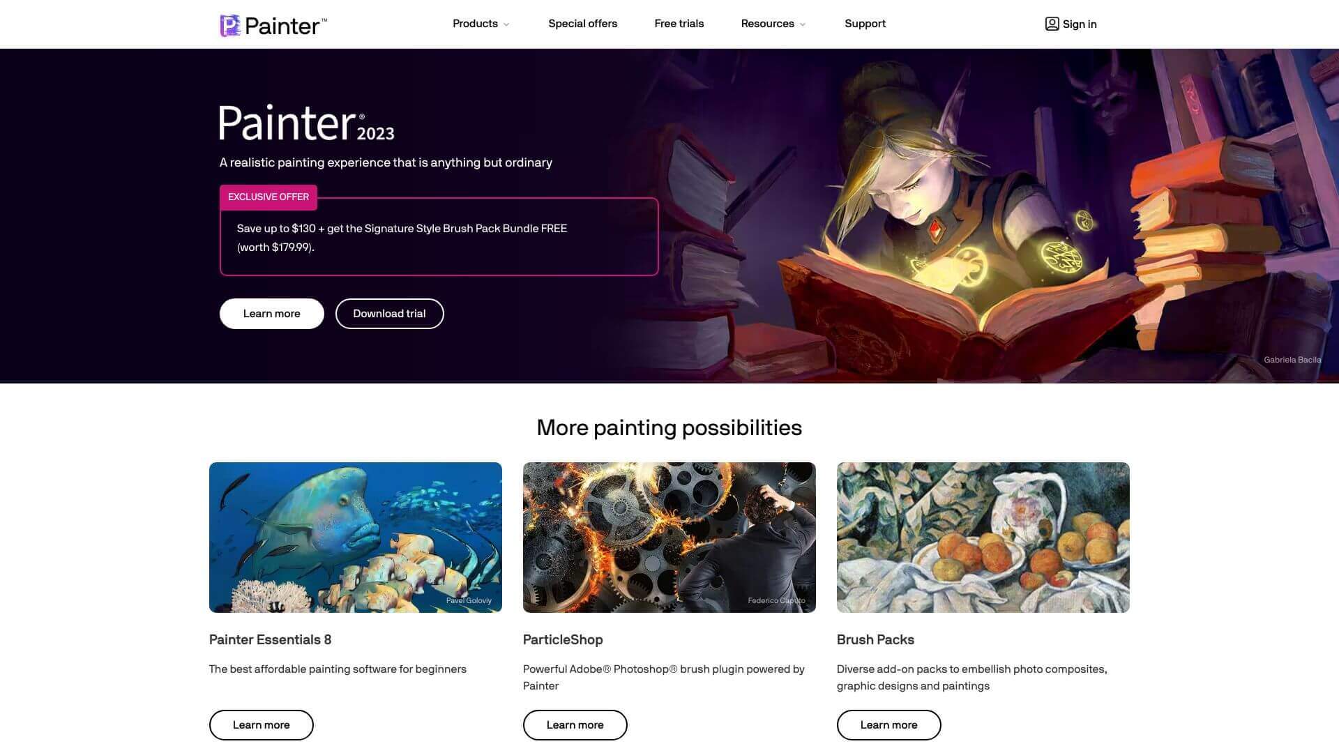 Painter screenshot