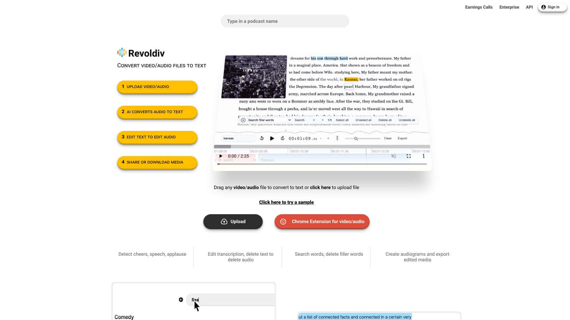 Revoldiv screenshot