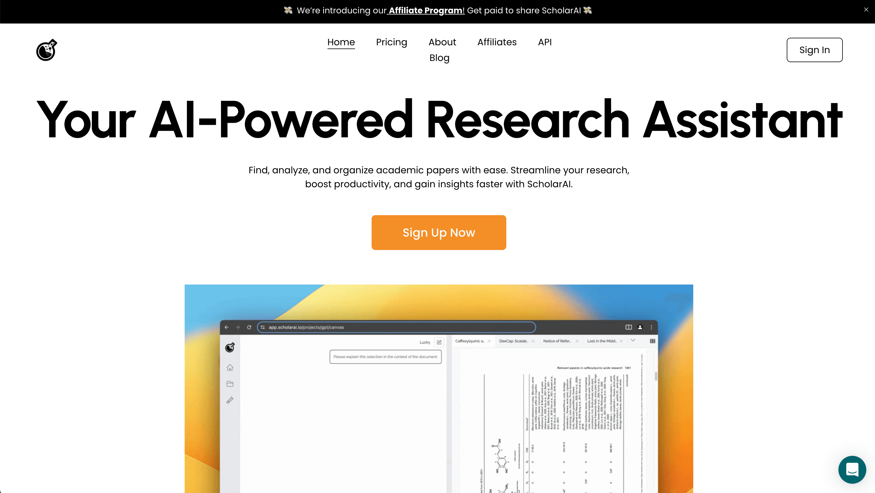 ScholarAI screenshot