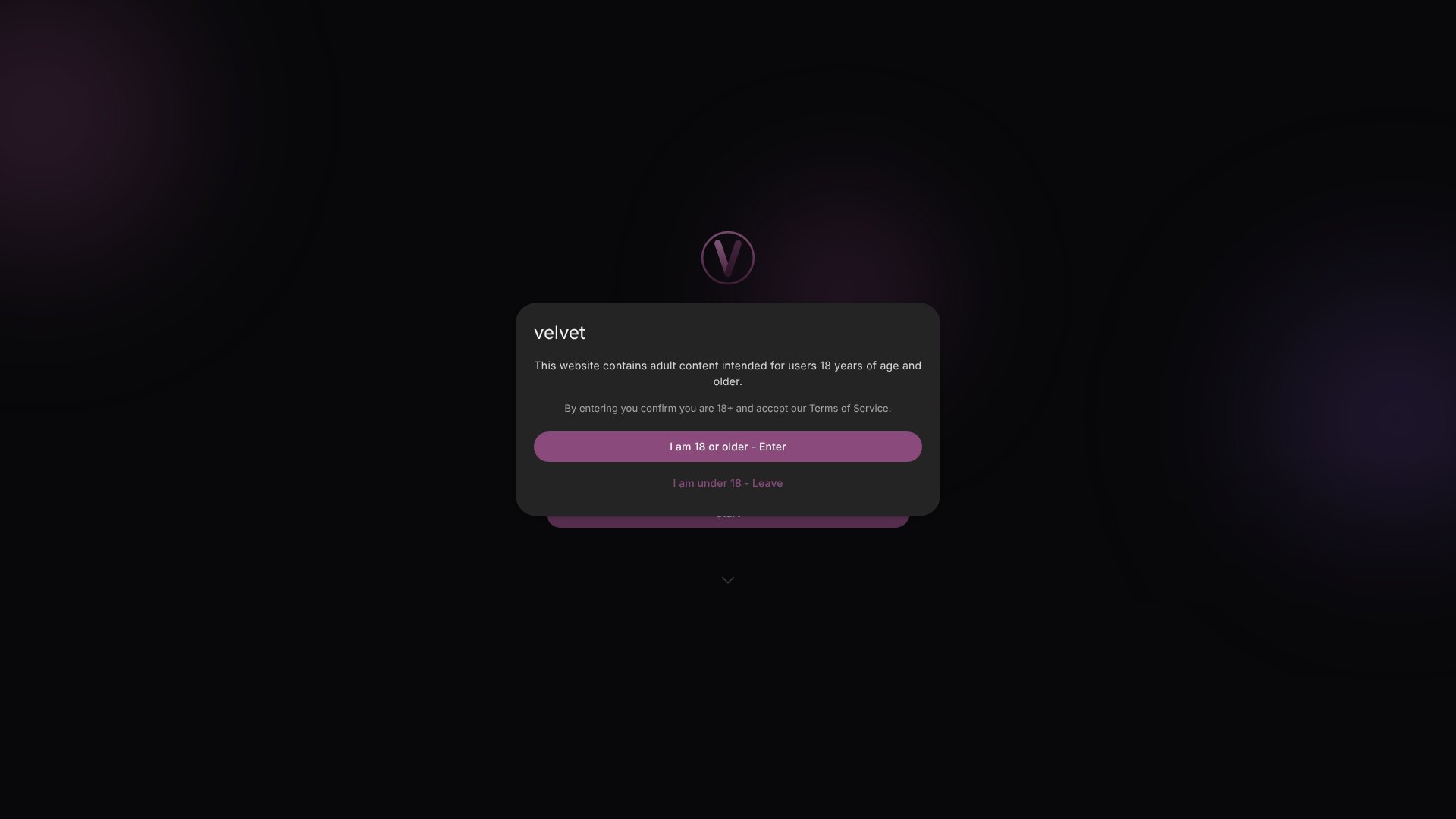 Velvet AI screenshot