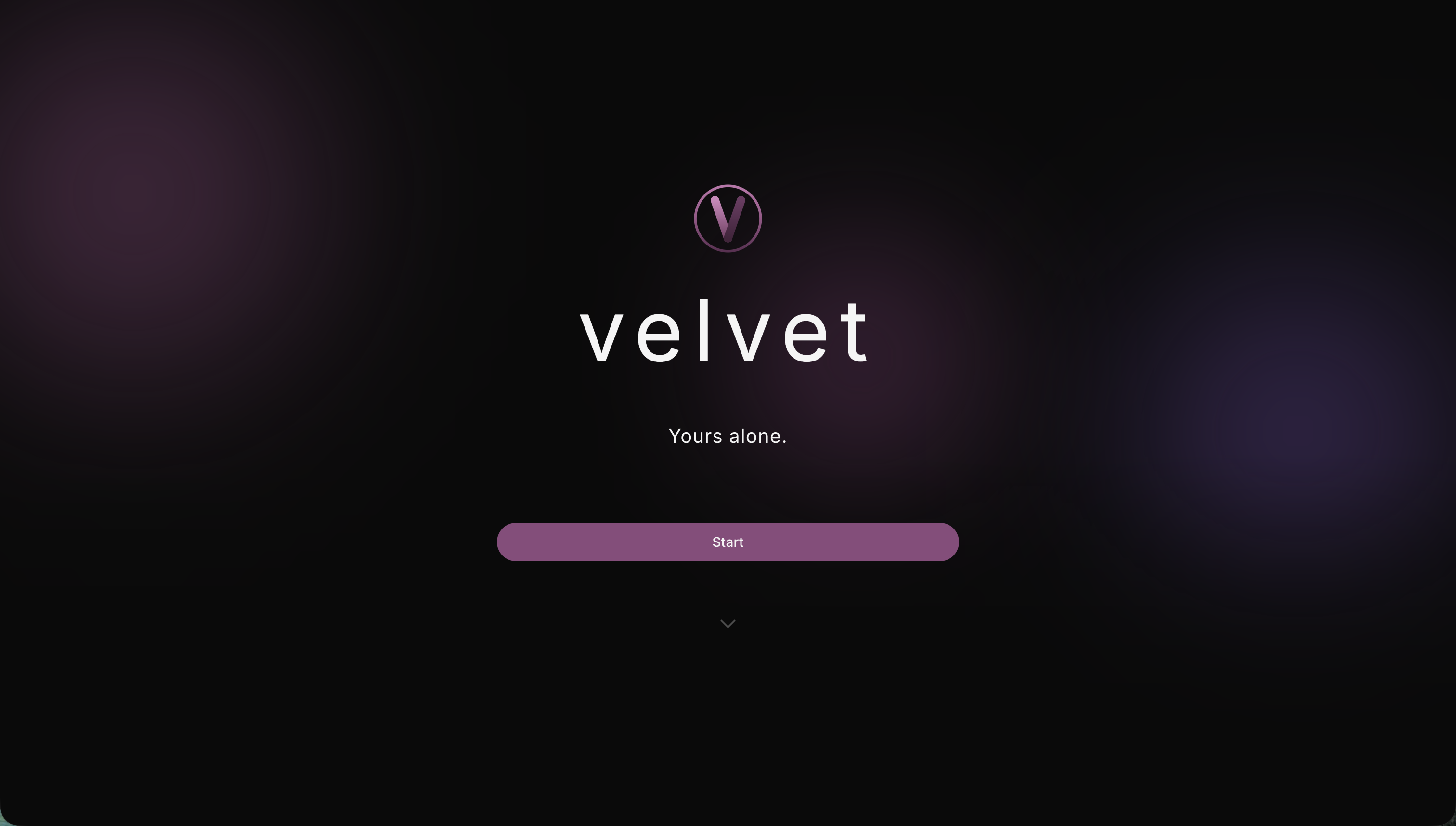 Velvet AI screenshot