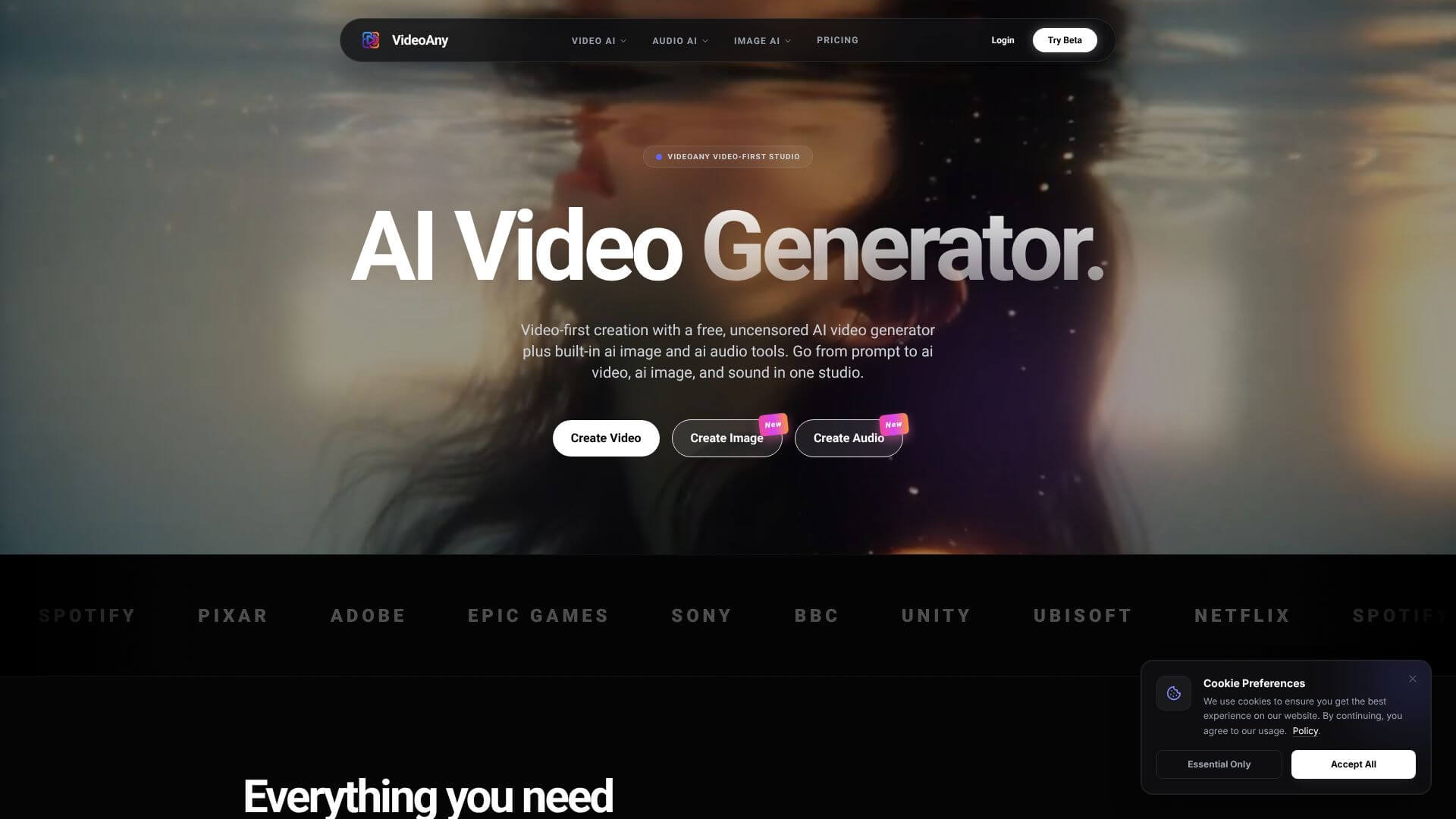 VideoAny screenshot