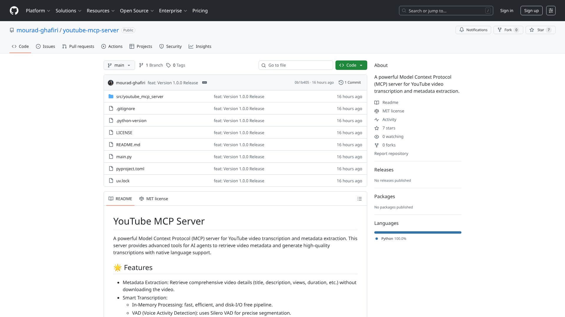 youtube-mcp-server screenshot